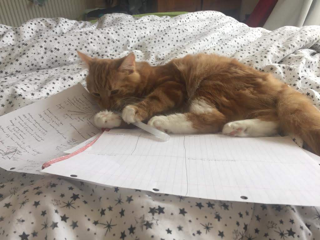 A ginger kitten lying on a bedspread covered in stars. Underneath the cat are two sheets of paper. Its paws are holding a pen.
