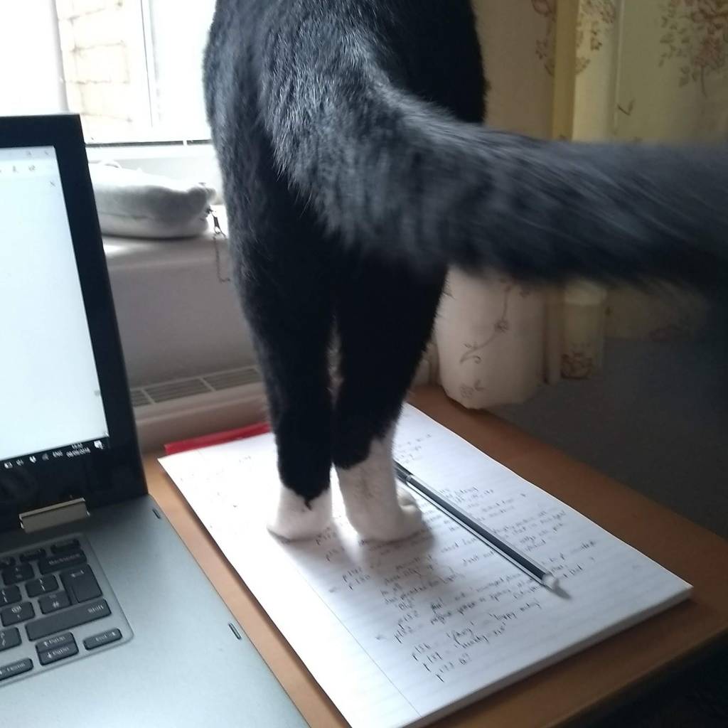Rear view of a black cat with white socks standing on a notepad on a desk, next to a laptop. The tail swishes past the camera.